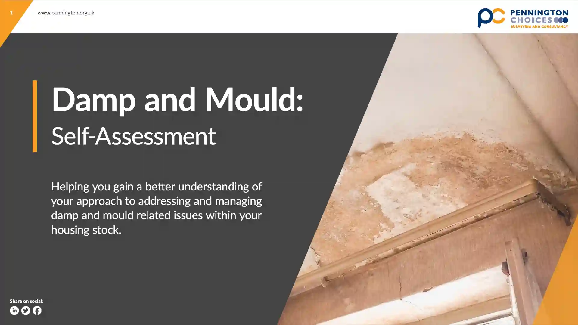 Damp and Mould Surveys Pennington Choices